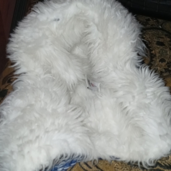 NFL colts winter hat in good condition - Picture 3 of 6